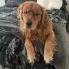brunobakerofficial - @brunobakerofficial - TikTok