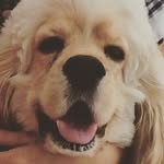 Bruno Beck - @bruno_beck_ - Instagram