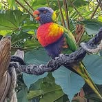 Bruno Bertin - Facebook