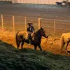 Bruno Borin493 - @brunoborin493 - TikTok