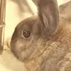 Bruno_brun_ - @bruno_brun_ - TikTok