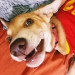 Bruno Chang - @brunitoefrain - Instagram