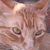 BRUNO CHIARI - @brunochiari372 - TikTok