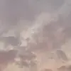 Bruno Coelho - @brunocoelho444 - TikTok