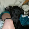 bruno_cole - @bruno_cole - TikTok