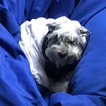 Bruno Perez Colella - @bperezcolella - Instagram
