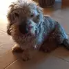 brunocolella1 - @brunocolella1 - TikTok