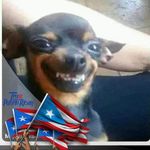 Bruno Collazo - @el_coyote_bruno - Instagram