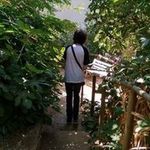 Bruno Collazo - @wrno_czo - Instagram