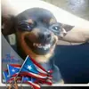 brunocollazo22 - @brunocollazo22 - TikTok
