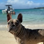 Bruno ✨ - @brunocookersnacker - Instagram