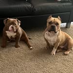 Bruno Smalls N Cookie Monster - @brunocookiesworld - Instagram