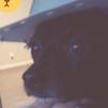 brunocookie - @elisaplays - TikTok