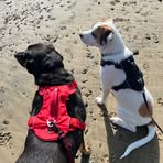 Bruno Cooper - Facebook
