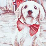 Bruno Corrales - @brunito_corrales - Instagram