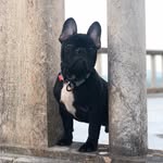 Bruno - @_bruno_corsi_ - Instagram