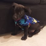 @bruno_cossu2 - Instagram