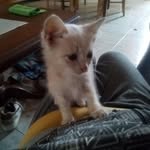 bruno cossu - @cossu_bruno_ - Instagram