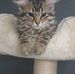 Bruno Cossu - Facebook