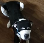 Bruno Cox - Facebook
