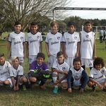 brunocuevas - @brunocuevas3680 - Instagram