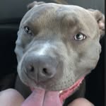 Brudius Curry - @bruno_curry - Instagram
