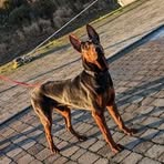 Bruno Curry - Facebook