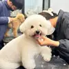 brunoday68 - @brunoday68 - TikTok