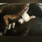 Bruno Leon Ojeda - @bruno.deleon - Instagram