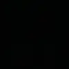 brunnooo__ - @brunodenis__ - TikTok