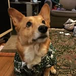 Bruno Daniel Devito Young - @cupofbru - Instagram