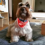 BRUNO & DUNCAN - @bruno__duncan - Instagram