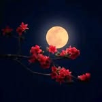 Bruno Ellis Bruno Ellis - @wamenameri - Instagram
