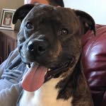 Bruno Ellis Griffiths - @bruno.ellisgriffiths - Instagram