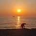 Bruno Esposito - Facebook