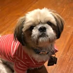 Bruno Estrella - @brunothemenace - Instagram