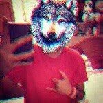 Bruno Evans - @brunoevans_ - Instagram