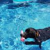 Bruno_Gagnon - @bruno_gagnon - TikTok