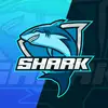 brunohaller123 - @shark_clan59 - TikTok