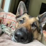 Bruno Hunter - Facebook