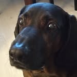 Bruno Hunter Housefly - @bruno_hunter_housefly - Instagram
