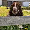 Bruno Kalischko - @bruno.kalischko - TikTok