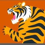 Bruno_kim - @bruno_kimping - Instagram