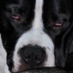 Bruno Kim - @brunobrunobruno7 - Instagram