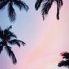 🦋Kimberly💖 - @brunokim55 - TikTok