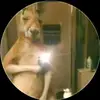 Bruno Lara - @bruno.lara98 - TikTok