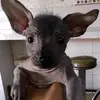 brunolara - @brunolara - TikTok
