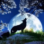 Bruno Leclerc - @bruno50570 - Instagram