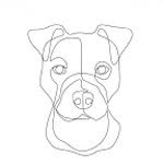Bruno LECLERC - @dogstrategy - Instagram