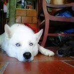 Bruno Martinez - Facebook